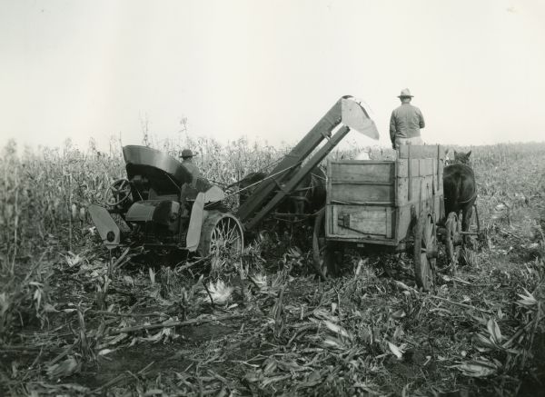 Two men harvesting corn with a Deering corn picker.