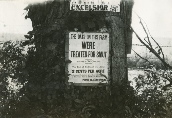 Sign near a field of oats, declaring that it was treated for smut. The sign reads: "The oats on this farm were treated for smut. The loss is 0.00 per cent. The cost of treatment was about 2 cents per acre. In untreated fields from about 15 per cent to 20 per cent of the entire crop is usually destroyed. Peoria Co. Farm Bureau."