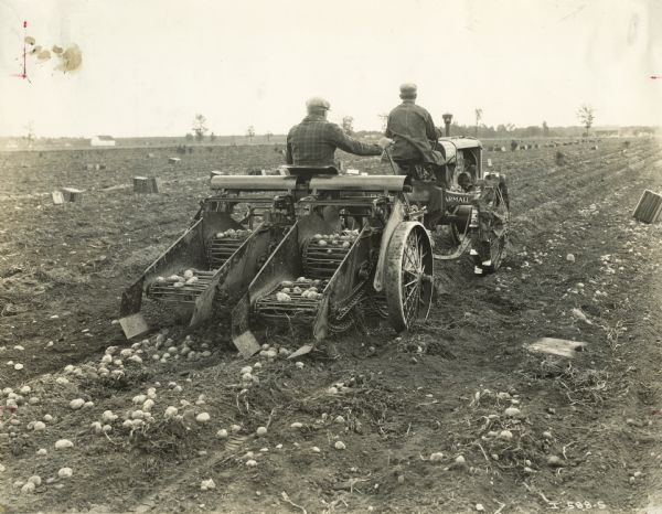 Rear view of two farmers pulling a potato digger in a field with a Farmall Regular tractor.