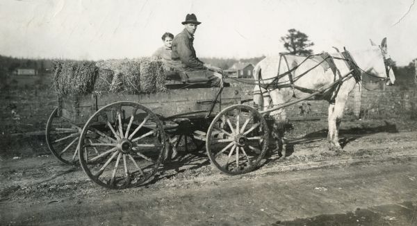 W.L. Trammel drives a mule-drawn wagon full of alfalfa.