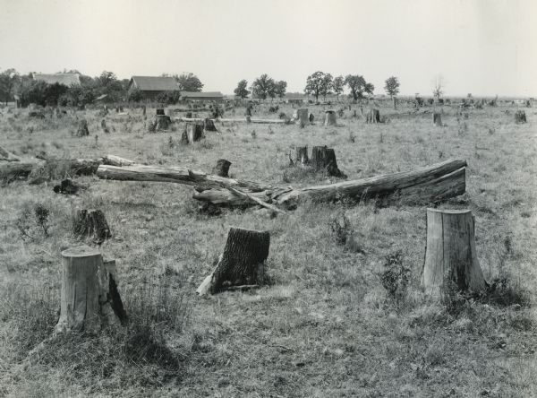 Stump-studded field with farm buildings in the background.