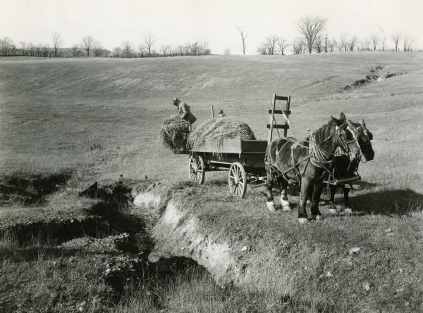 A horse-drawn wagon parked near a stopping gully in a pasture.