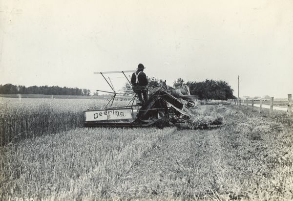 A farmer uses a Deering grain binder to harvest a crop.