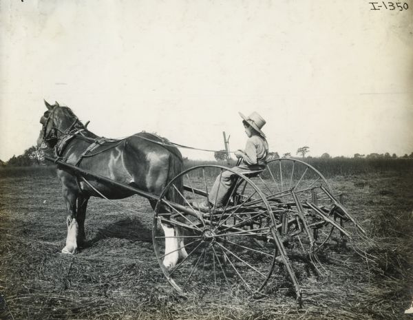 A young boy sits on a horse-drawn Champion hay tedder in a field.
