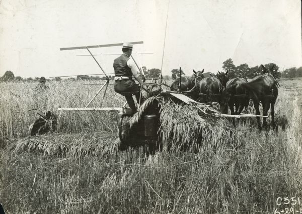 A farmer drives a team of four horses to pull a grain binder.