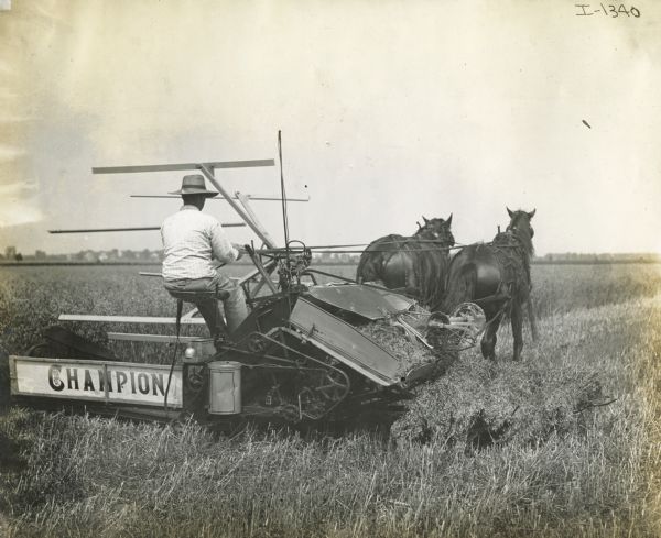 A man operates a horse-drawn Champion grain binder.