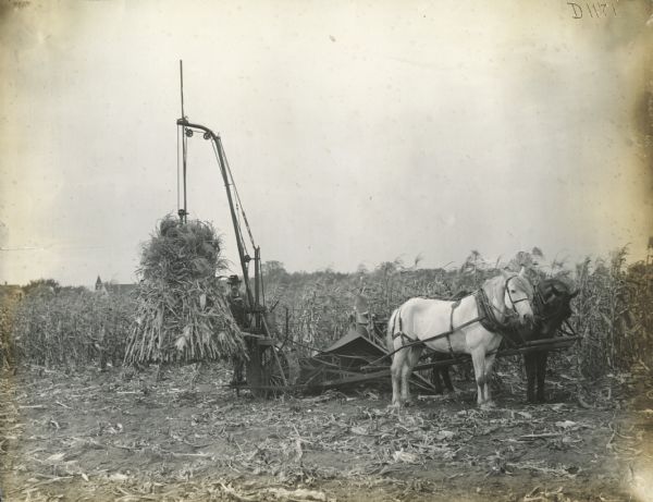 Farmer lifting a shock of corn stalks with a corn binder attachment.