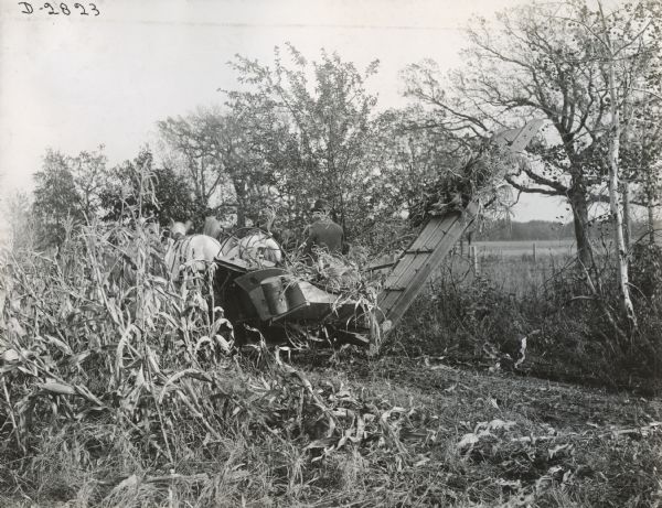 Rear view of a farmer using a horse-drawn Deering corn binder in a field.