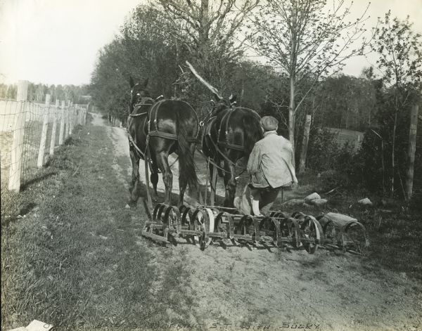 A man drives a Deering Spring Tooth harrow outfitted with a sulky rake down a dirt road.