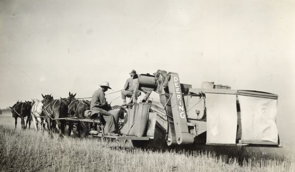 A team of horses is pulling farmers and a Deering harvester-thresher (combine) in a field.