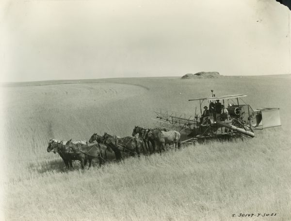 Elevated view of three farmers operating a harvester-thresher (combine) with a team of nine horses.