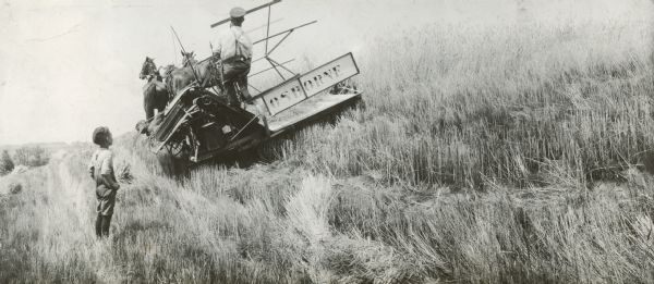 A young boy watches a horse-drawn Osborne grain binder as it is pulled along the side of a hill by a farmer.