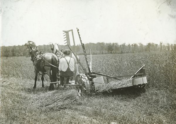A man operates a horse-drawn Osborne self-rake reaper in a field. The original caption reads: "Emerson-Brantingham."