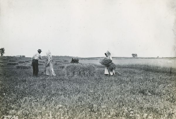 A man and two women gather grain bundled by a grain binder at work in the background.