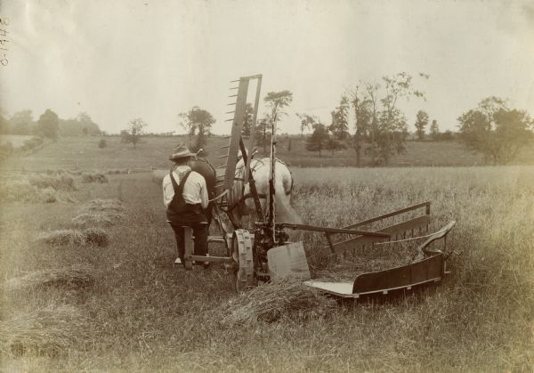 Man operating a horse-drawn Osborne self-rake reaper in a field.