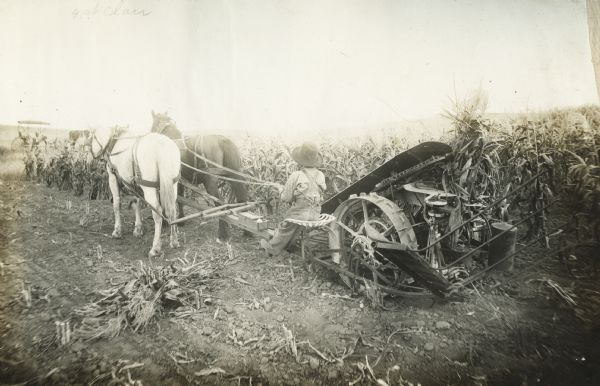 Three-quarter view from rear of a young boy operating a horse-drawn McCormick corn binder in a field on the Bachand farm. The boy may be Mike Bachand, or the son of Mike Bachand.