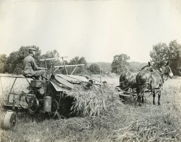 A man leads two mules pulling a McCormick grain binder.