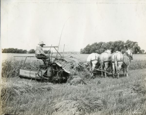 A farmer using a horse-drawn McCormick grain binder.