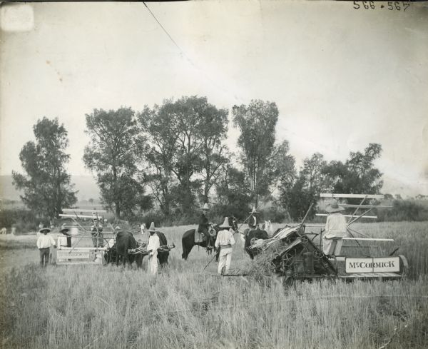 Group of farmers with two McCormick grain binders, possibly in Mexico.