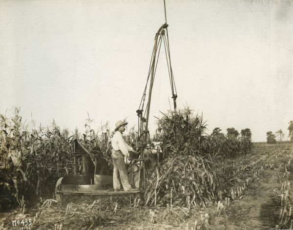 A farmer using a corn shucker attached to a corn binder.