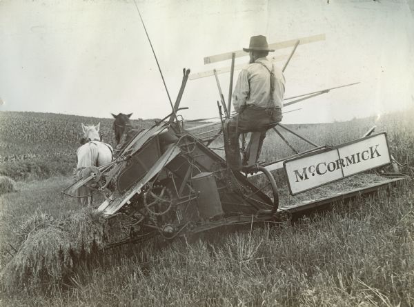Rear view of a farmer operating a horse-drawn McCormick grain binder.