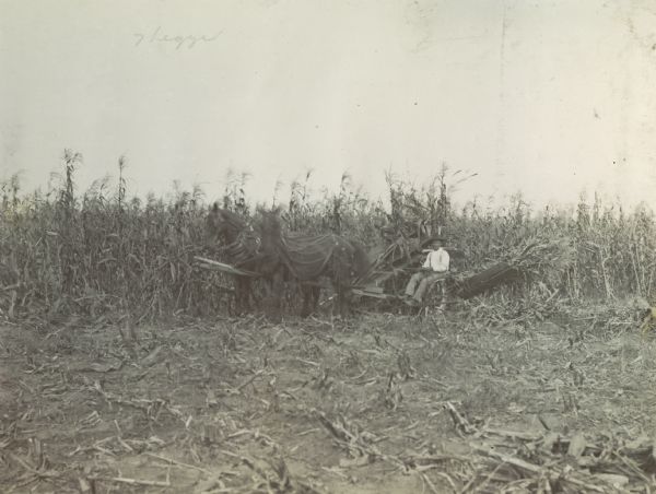 Man demonstrating the use of a corn binder. The man may be Alexander Legge, who later became President of the International Harvester Company.