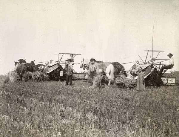 A group of farmers, including several young girls and boys, using two horse-drawn McCormick grain binders to harvest a crop.