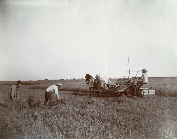A farmer uses a McCormick grain binder while two other men gather the tied bundles.
