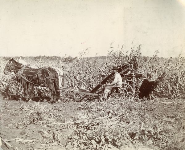 Left side profile view of a farmer using a horse-drawn corn binder in a field.