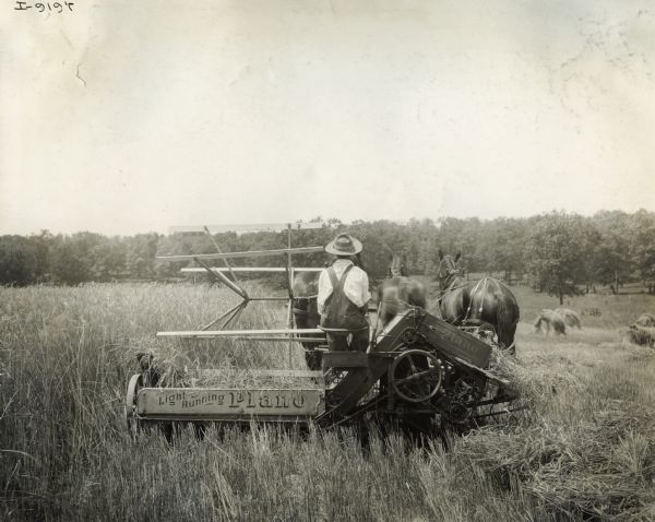 A farmer uses a horse-drawn Plano grain binder in a field.