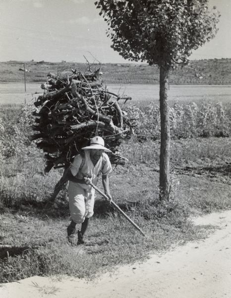Korean farmer hauling wood for fuel on his back with an "A-frame." Original caption reads: "One ocean away, one century behind, the Korean farmer saddles himself with a crude A-frame, serves as a human pack horse."