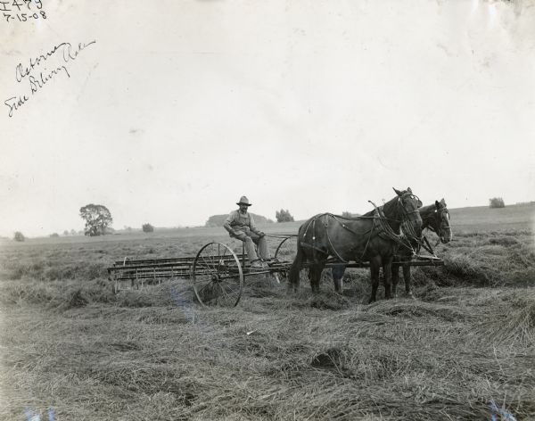Farmer operating a horse-drawn Osborne side delivery hay rake in the field.
