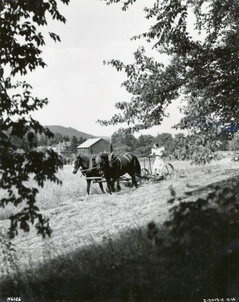 A woman operating a horse-drawn No. 7 mower owned by R.M. Howard from Dundas, Ontario. She is cutting a mixed crop of timothy hay, lucerne and clover.