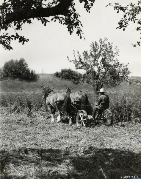 A man sits on a horse-drawn No. 7 mower in a field near Hamilton, Ontario.