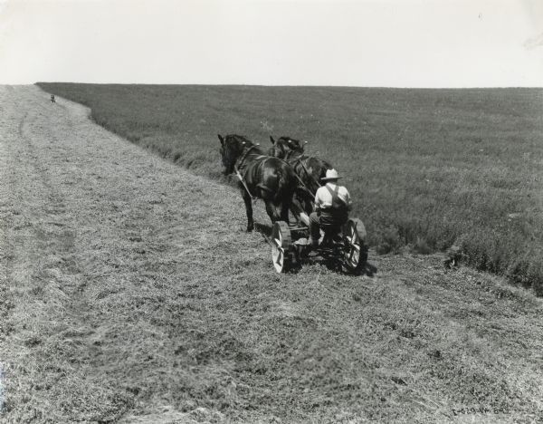Edward Brown uses his No. 7 enclosed gear mower in a field, while his dog watches from the distance.