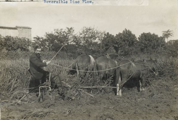 Mr. H. Puttemans turns under a failed rice crop by means of a horse-drawn Chattanooga Reversible Disc Plow at the Polytechnic School in Sao Paulo, Brazil.