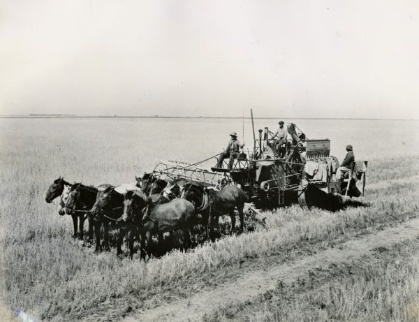 Elevated view of a group of men using a horse-drawn Deering 30-T Harvester-Thresher (combine) with a 15 foot cut to harvest wheat in a field in Argentina, South America.