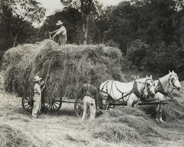Three men using pitchforks to lift hay onto a wagon drawn by two horses.