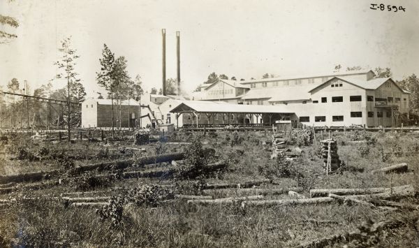 International Harvester sawmill with felled trees and piles of logs in the foreground.