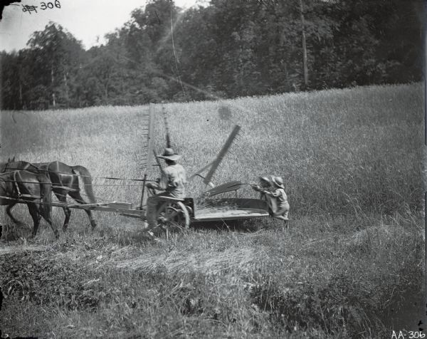 A farmer operating a horse-drawn self-rake reaper while children are following close by.