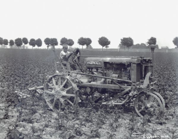 A boy, wearing large gloves, is driving a McCormick-Deering Farmall Regular tractor with a cultivator attached.