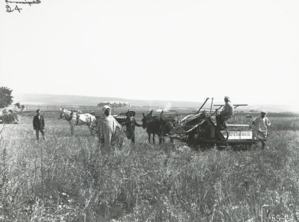 Corn binder hitched to two mules in field in Algeria. In the distance are low hills. One bearded man, wearing what appears to be a full-length hooded jellaba and turban, is standing holding a bundle of corn. Two men wearing light-colored shorter garments and turbans are posing on the binder. One of them is smoking a cigarette. Another person, wearing a large brimmed hat over a turban and dark clothing, has their hand on the nose of one of the mules. Behind them is a horse-drawn buggy with covered awning. A man with short hair and a moustache dressed in Western clothing is standing apart from the others, wearing a cap, bow tie, dark jacket, and striped pants.