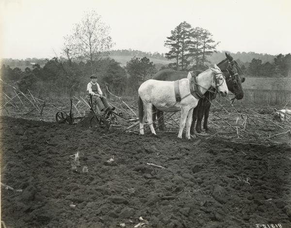 A boy is sitting on a Chattanooga plow pulled by horses, and perhaps a donkey, in a field. Another boy is on the right in the background.