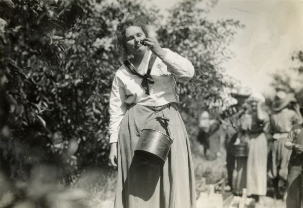 A woman with a bucket clipped to her belt holds up a cluster of cherries in a cherry orchard.
