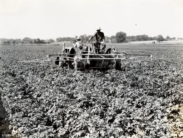 Two farmers using a Farmall tractor with a Bean-Royal #20 sprayer to spray a crop of potatoes.