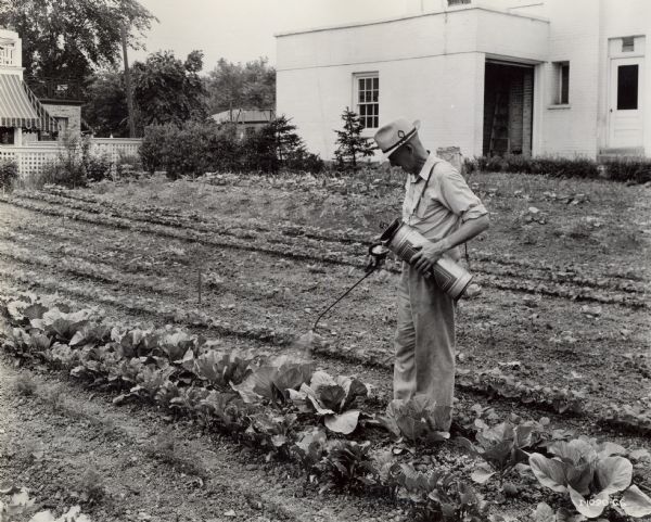 A gardener sprays a row of plants with a sprayer and metal container. The container likely holds pesticide.