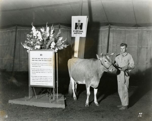 A man stands next to a Guernsey cow in the International Harvester tent at the Wisconsin State Fair. A sign reads: "Why We Are Not Displaying Our Full Line of Equipment." The original photograph caption reads: "Guernsey Cow Furnished by Herb. Clausen."