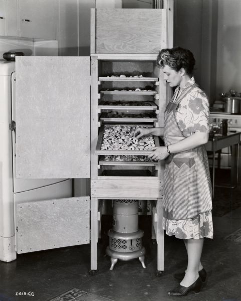 A woman wearing an apron is pulling a tray out from what appears to be a food dehydrator.