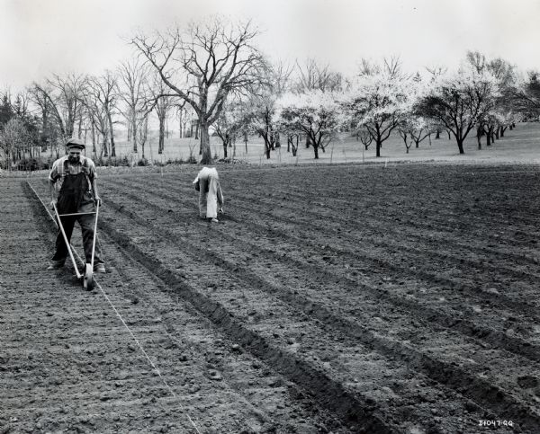 A man creates furrows with a garden implement while another man appears to be planting seeds in the background.