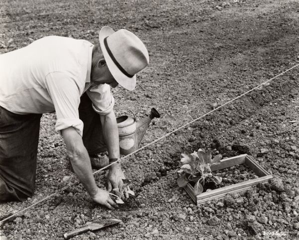 A man uses a taut rope to plant straight garden rows.
